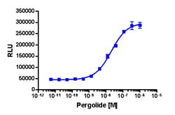 Eurofins Discoverx PathHunter CHO-K1 rDRD2S (Short Isoform) β-Arrestin