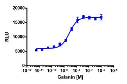 Eurofins Discoverx&nbsp;PathHunter GALR1 Total Internalization U2OS Cell Line, 2 vials. (93-0781C3)