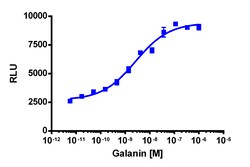 Eurofins Discoverx&nbsp;PathHunter eXpress GALR1 Total Internalization Assay, 10pl Kit. (93-0781E3CP5L)