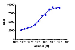 Eurofins Discoverx PathHunter eXpress GALR1 Total Internalization Assay,