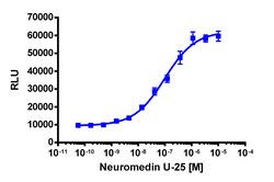 Eurofins Discoverx PathHunter NMU1R Total Internalization U2OS Cell Line, 2 vials. (93-0782C3)