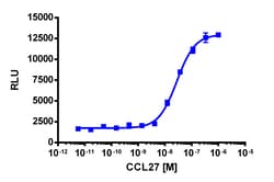 Eurofins Discoverx&nbsp;PathHunter CCR10 Activated GPCR Internalization U2OS Cell Line, 2 vials. (93-0783C3)