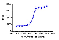 Eurofins Discoverx PathHunter EDG1 Total Internalization HEK 293 Cell Line, 2 vials. (93-0784C1)