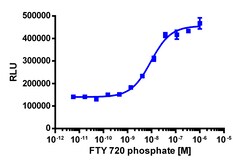 Eurofins Discoverx&nbsp;PathHunter eXpress EDG1 Total Internalization Assay, 10pl Kit. (93-0784E1CP28L)