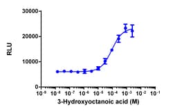 Eurofins Discoverx&nbsp;PathHunter eXpress GPR109B CHO-K1 β-Arrestin GPCR Assay, 2-Plate Kit. (93-0791E2CP2M)