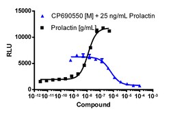 Eurofins Discoverx&nbsp;PathHunter eXpress JAK3 Activity Assay, 2-Plate Kit. (93-0796E3CP16M)