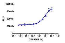 Eurofins Discoverx PathHunter GPR120L Total Internalization HEK 293 Cell Line, 2 vials. (93-0801C1)
