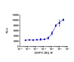 Eurofins Discoverx&nbsp;PathHunter CHO-K1 NPR1 Functional Assay, 2 vials. (93-0804C2)