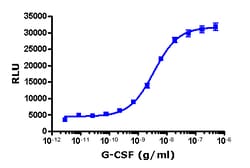 Eurofins Discoverx&nbsp;PathHunter U2OS CSF3R-JAK1 Functional Assay, 2 vials. (93-0809C3)