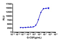 Eurofins Discoverx PathHunter eXpress CSF3R-JAK1 Functional Assay, 10-Plate