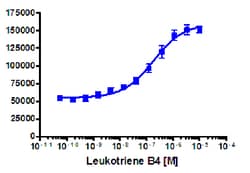 Eurofins Discoverx&nbsp;PathHunter LTB4R Total Internalization U2OS Cell Line, 2 vials. (93-0810C3)