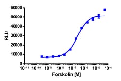 Eurofins Discoverx&nbsp;PathHunter eXpress TORC2 Nuclear Translocation Assay, 2pl Kit. (93-0813E3CP19M)