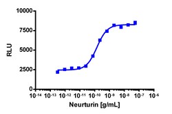 Eurofins Discoverx PathHunter eXpress c-Ret-GFRα2 Functional Assay, 2-Plate