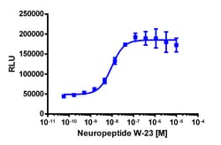 Eurofins Discoverx&nbsp;PathHunter CHO-K1 NPBWR1 β-Arrestin Cell Line, 2 vials. (93-0818C2)