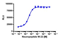 Eurofins Discoverx&nbsp;PathHunter eXpress NPBWR1 CHO-K1 β-Arrestin GPCR Assay, 10-Plate Kit. (93-0818E2CP2L)