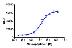 Eurofins Discoverx&nbsp;PathHunter U2OS NPSR1 β-Arrestin Cell Line, 2 vials. (93-0822C3)