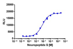 Eurofins Discoverx&nbsp;PathHunter eXpress NPSR1b U2OS β-Arrestin GPCR Assay, 10-Plate Kit. (93-0822E3CP0L)