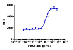 Eurofins Discoverx PathHunter U2OS PDGFRa Functional Assay, 2 vials. (93-0823C3)
