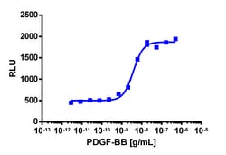 Eurofins Discoverx&nbsp;PathHunter eXpress PDGFRa Functional Assay, 2-Plate Kit. (93-0823E3CP16M)