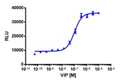 Eurofins Discoverx PathHunter VIPR2 Total Internalization U2OS Cell Line,