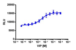 Eurofins Discoverx&nbsp;PathHunter eXpress VIPR2 Total Internalization Assay, 10pl Kit. (93-0824E3CP5L)