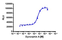 Eurofins Discoverx PathHunter OPRK1 Total Internalization U2OS Cell Line,