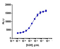Eurofins Discoverx&nbsp;PathHunter eXpress GHR-JAK2 Functional Assay, 10-Plate Kit. (93-0829E3CP14L)