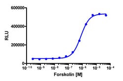 Eurofins Discoverx PathHunter U2OS TORC1 Nuclear Translocation Cell Line, 2 vials. (93-0833C3)