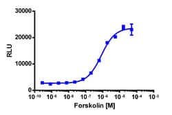 Eurofins Discoverx&nbsp;PathHunter eXpress TORC1 Nuclear Translocation Assay, 10pl Kit. (93-0833E3CP19L)