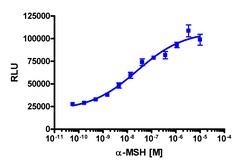Eurofins Discoverx&nbsp;PathHunter MC3R Total Internalization U2OS Cell Line, 2 vials. (93-0837C3)