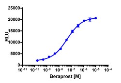 Eurofins Discoverx&nbsp;PathHunter eXpress PTGIR Total Internalization Assay, 10pl Kit. (93-0838E3CP0L)