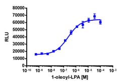 Eurofins Discoverx PathHunter EDG2 Activated GPCR Internalization U2OS