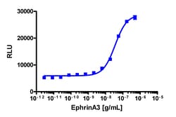 Eurofins Discoverx PathHunter U2OS EphA5 Functional Assay, 2 vials. (93-0840C3),