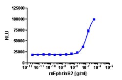 Eurofins Discoverx PathHunter U2OS EphB3 Functional Assay, 2 vials. (93-0842C3)