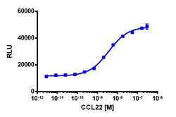 Eurofins Discoverx PathHunter CCR4 Total Internalization U2OS Cell Line,