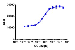 Eurofins Discoverx PathHunter eXpress CCR4 Total Internalization Assay,