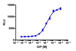 Eurofins Discoverx PathHunter U2OS mGIPR β-Arrestin Cell Line, 2 vials.