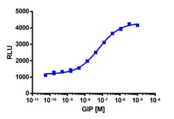 Eurofins Discoverx&nbsp;PathHunter eXpress mGIPR U2OS β-Arrestin GPCR Assay, 10-Plate Kit. (93-0846E3MCP5L)