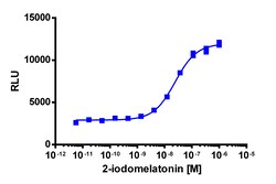 Eurofins Discoverx PathHunter MTNR1A Total Internalization DLD1 Cell Line,