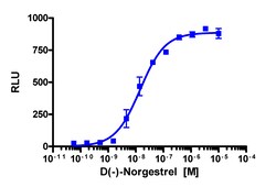 Eurofins Discoverx PathHunter U2OS PRβ Protein Interaction Cell Line, 2