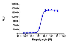 Eurofins Discoverx PathHunter eXpress XBP1 Nuclear Translocation Assay,