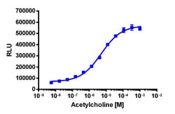 Eurofins Discoverx&nbsp;PathHunter U2OS CHRM1 β-Arrestin Cell Line, 2 vials. (93-0859C3)