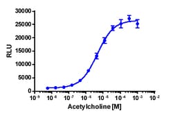 Eurofins Discoverx&nbsp;PathHunter eXpress CHRM3 U2OS β-Arrestin GPCR Assay, 10-Plate Kit. (93-0860E3CP0L)