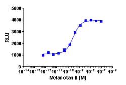 Eurofins Discoverx&nbsp;PathHunter eXpress MC1R U2OS β-Arrestin GPCR Assay, 10-Plate Kit. (93-0861E3CP5L)