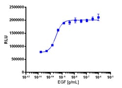 Eurofins Discoverx&nbsp;PathHunter U2OS ErbB1 Functional Assay, 2 vials. (93-0863C3)