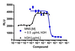 Eurofins Discoverx&nbsp;PathHunter eXpress SYK Activity Assay, 10-Plate Kit. (93-0865E3CP16L)
