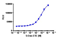 Eurofins Discoverx&nbsp;PathHunter CHO-K1 OXER1 β-Arrestin Cell Line, 2 vials. (93-0867C2)