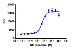 Eurofins Discoverx&nbsp;PathHunter PTGFR Total Internalization U2OS Cell Line, 2 vials. (93-0872C3)