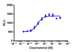 Eurofins Discoverx&nbsp;PathHunter eXpress PTGFR Total Internalization Assay, 10pl Kit. (93-0872E3CP0L)
