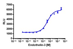 Eurofins Discoverx&nbsp;PathHunter EDNRB Total Internalization U2OS Cell Line, 2 vials. (93-0874C3)